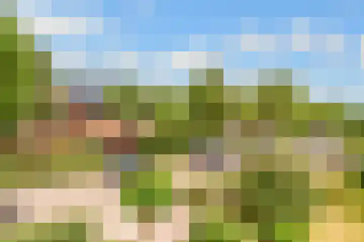 Tabakslaan 13 Amerongen thumbnail 63