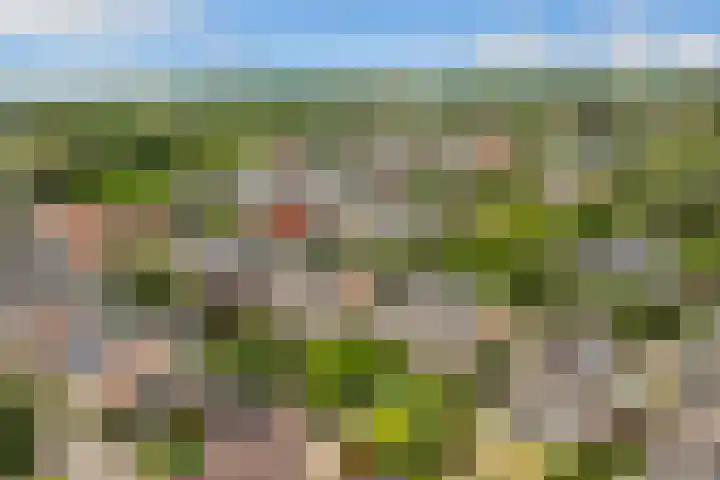 Tabakslaan 13 Amerongen thumbnail 64