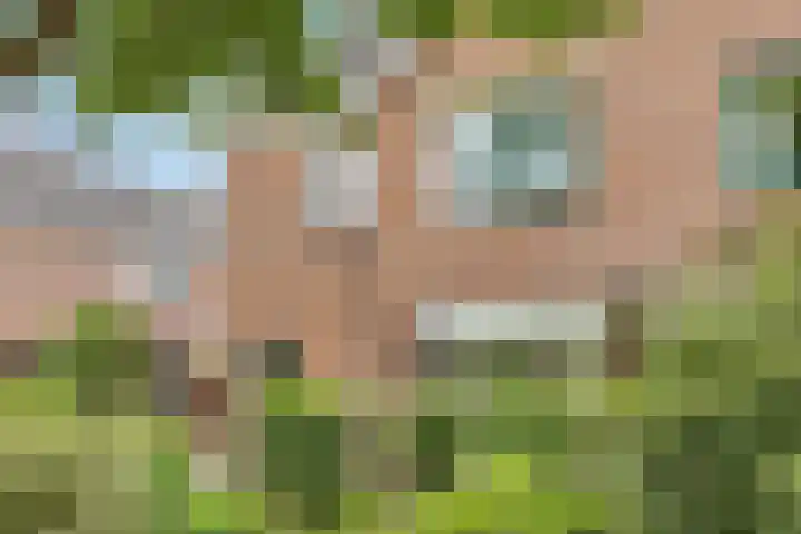 Tabakslaan 13 Amerongen thumbnail 7