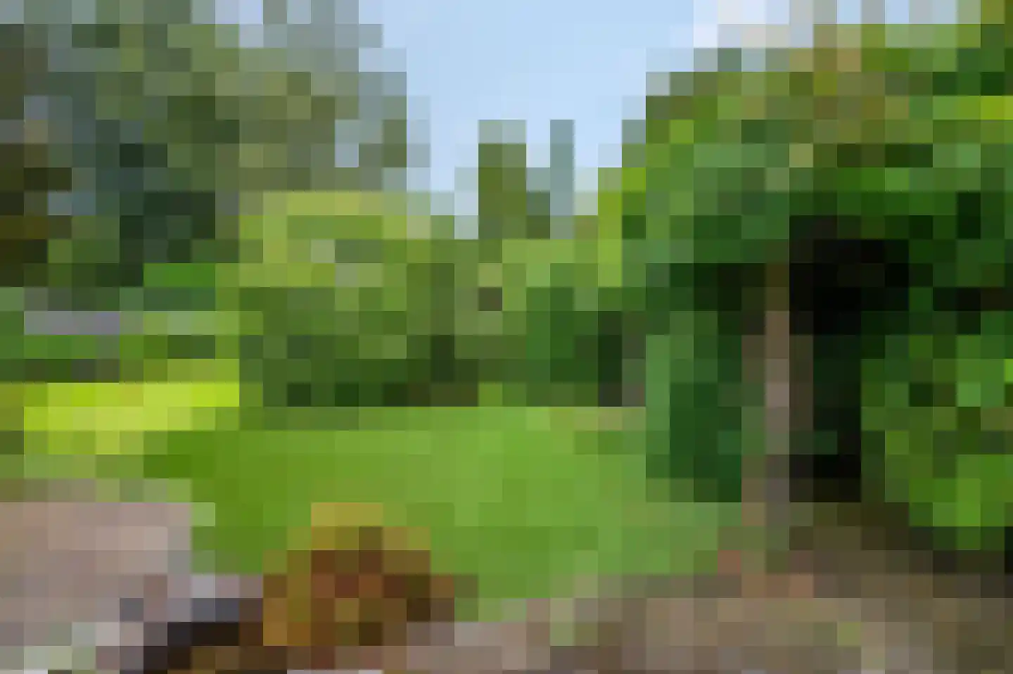 Tabakslaan 28 Amerongen thumbnail 22