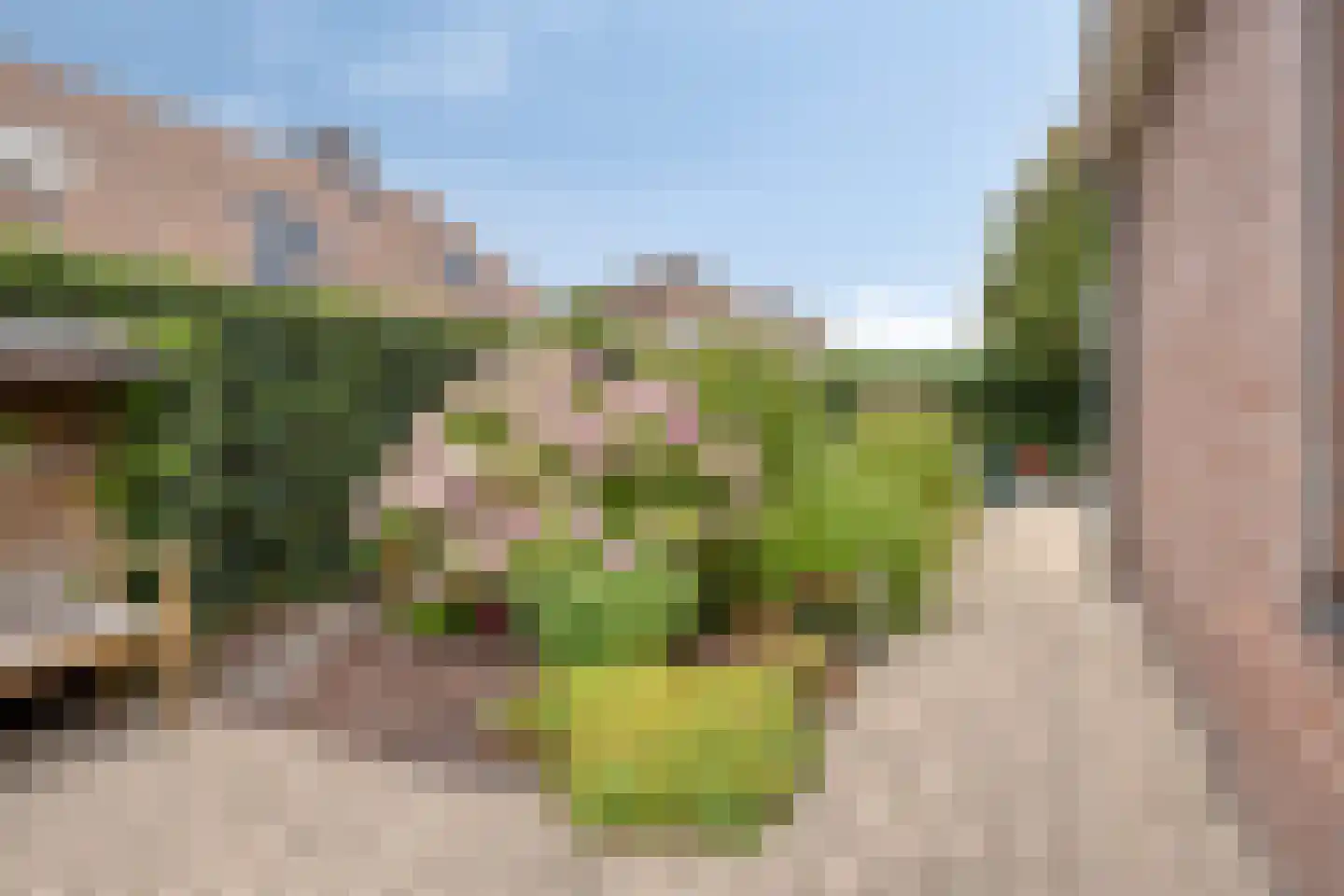 Tabaksland 108 Ingen thumbnail 17