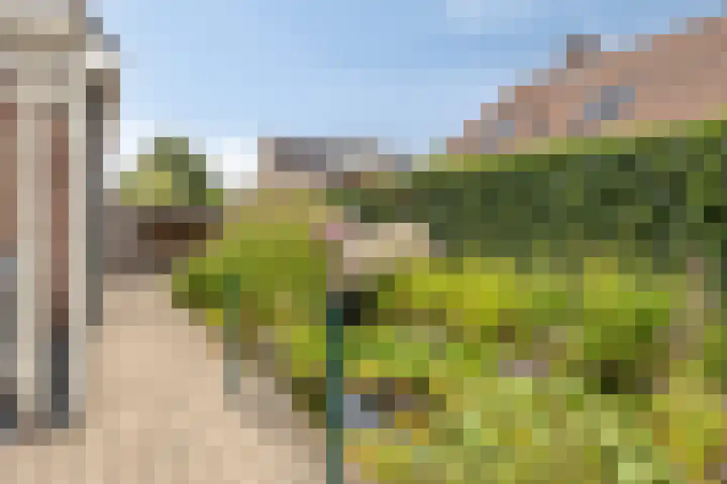 Tabaksland 108 Ingen thumbnail 19