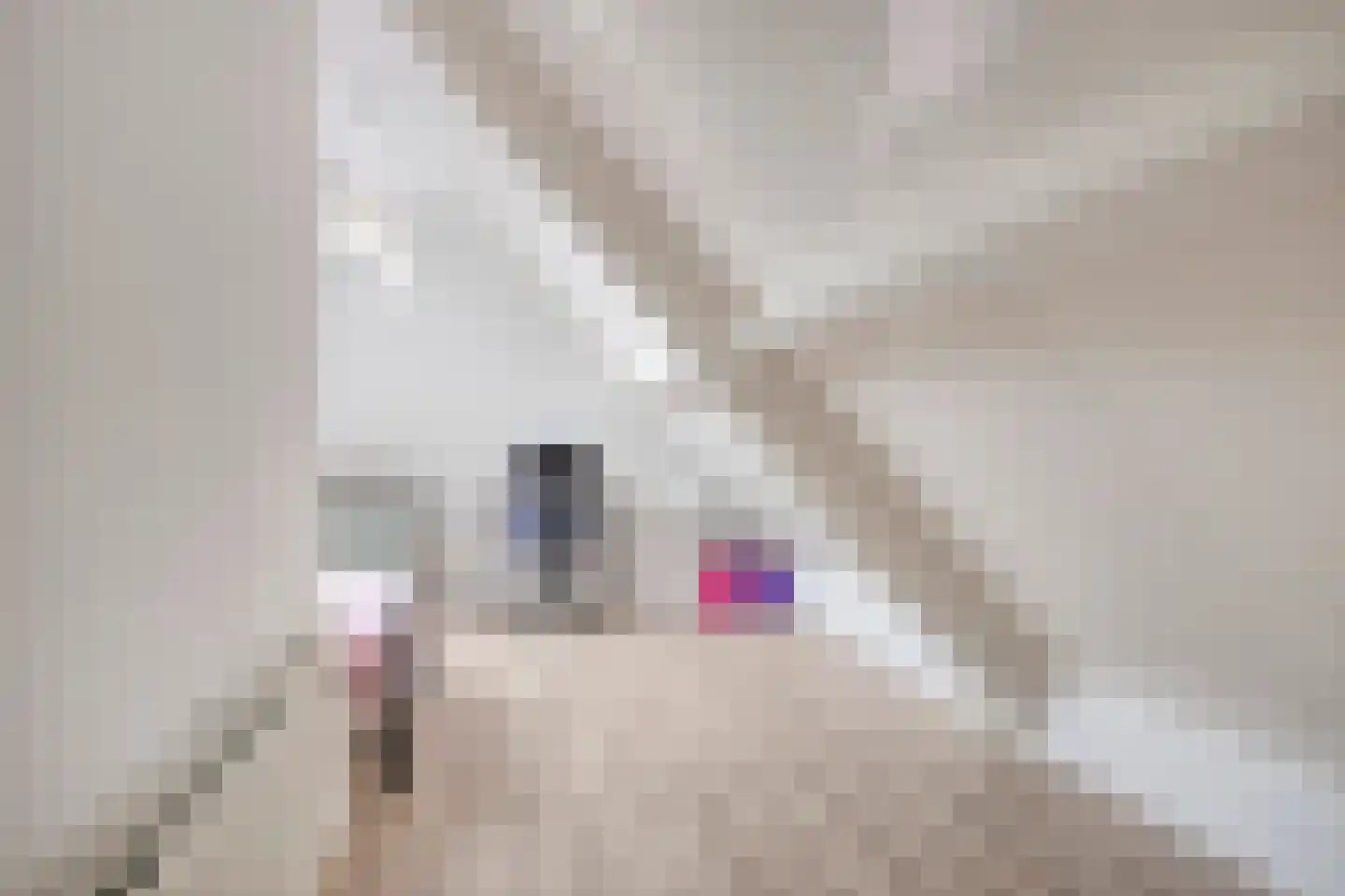 Tabaksland 108 Ingen thumbnail 37