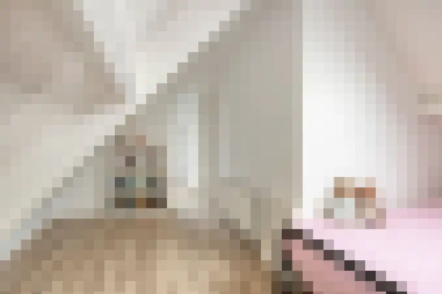 Tabaksland 108 Ingen thumbnail 39