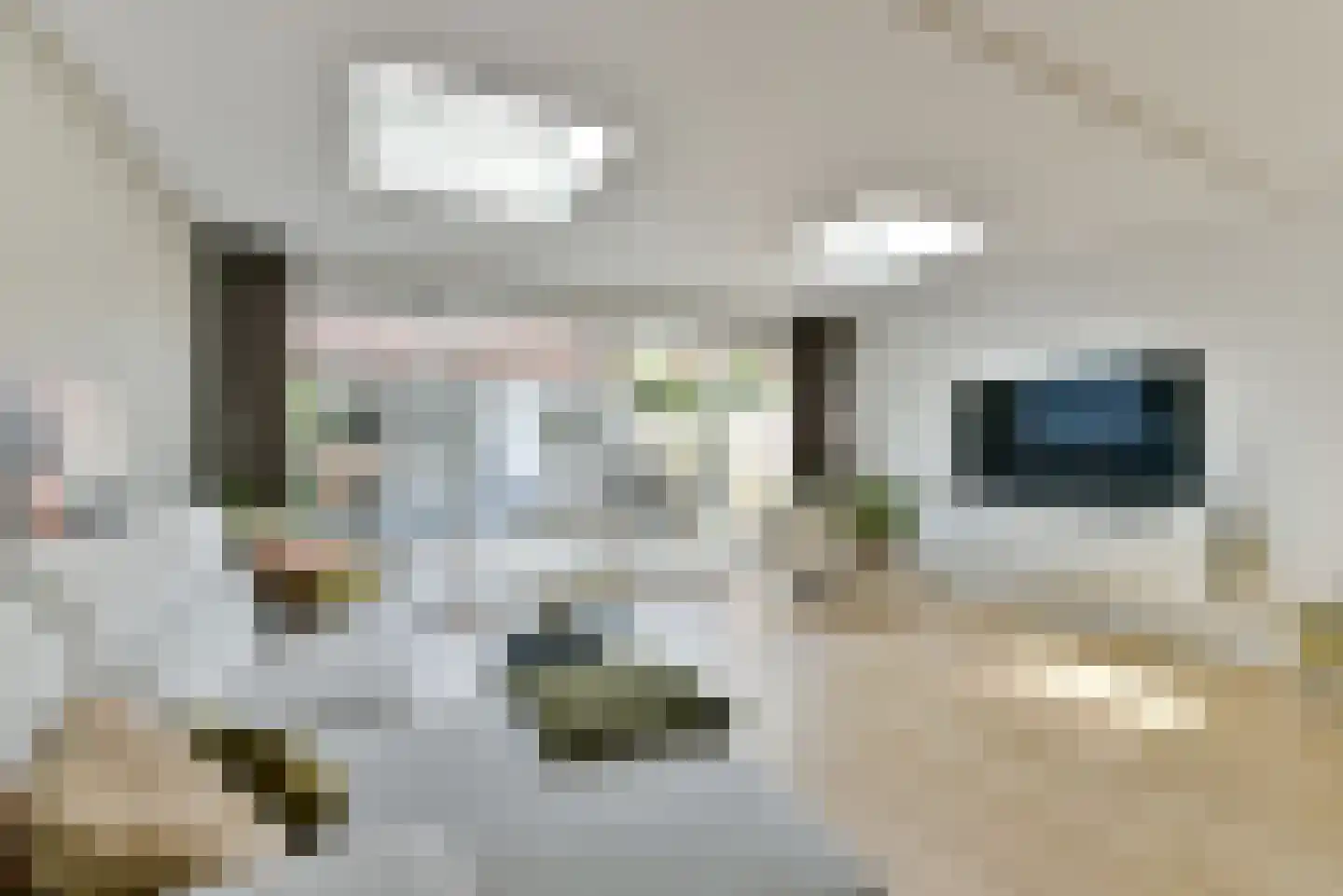 Tabaksland 22 Hoevelaken thumbnail 16