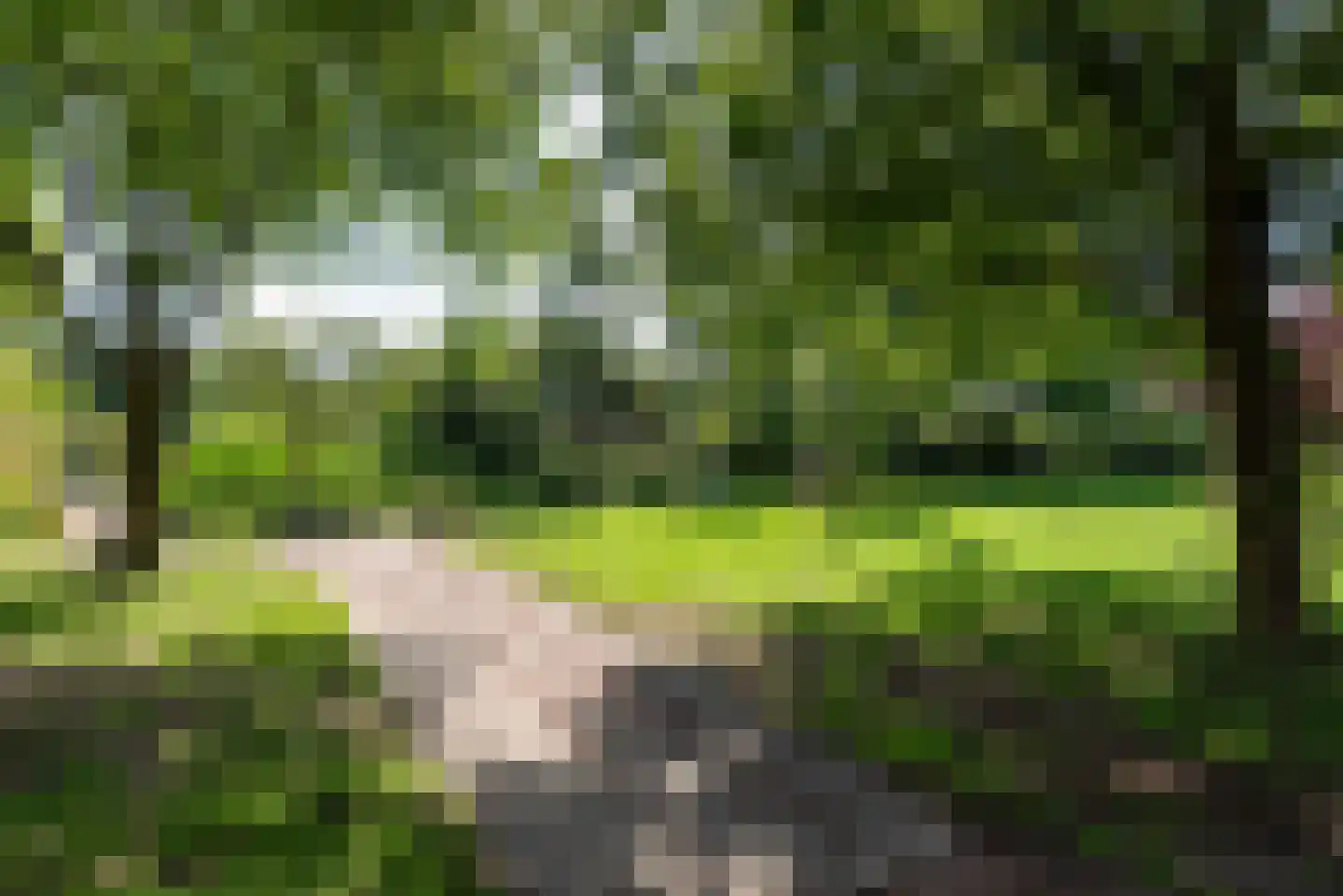 Tabaksland 22 Hoevelaken thumbnail 22