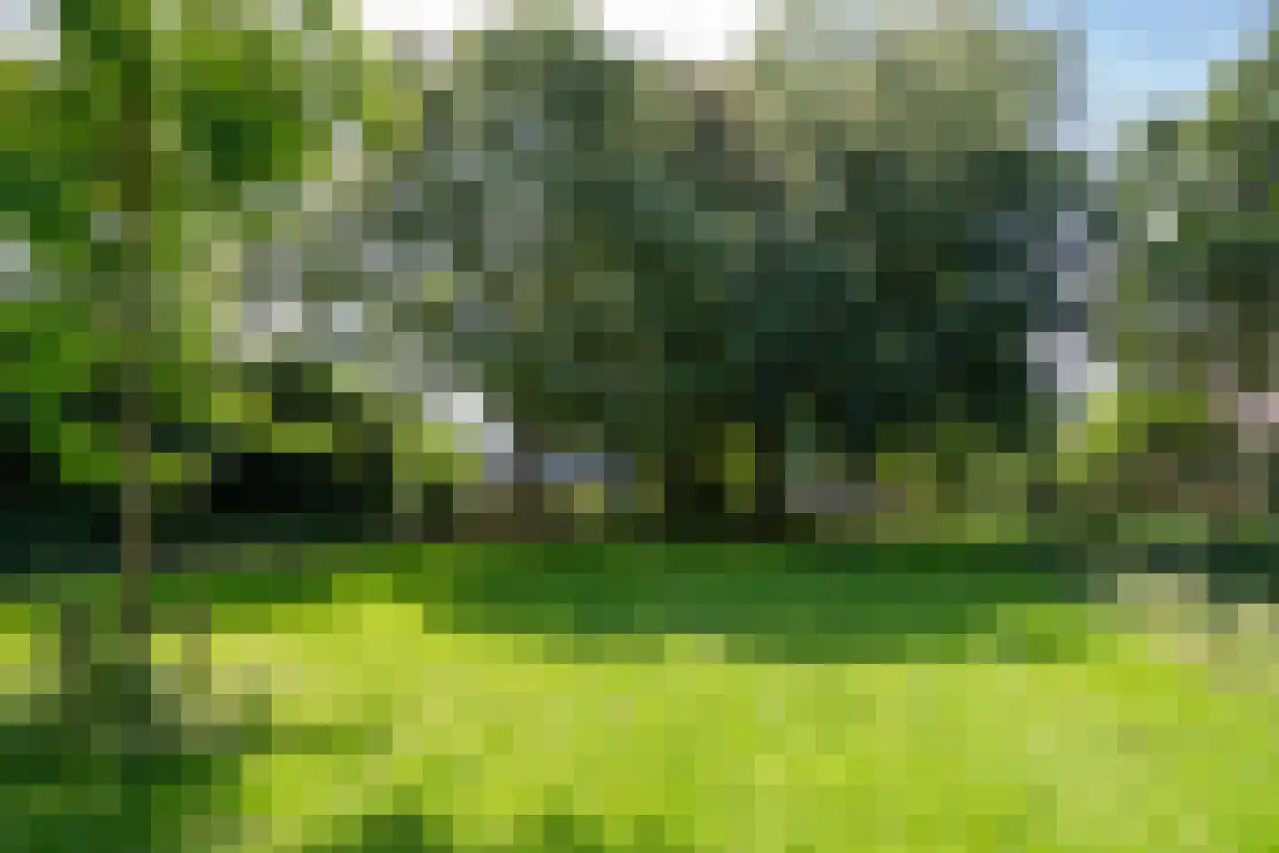 Tabaksland 22 Hoevelaken thumbnail 23