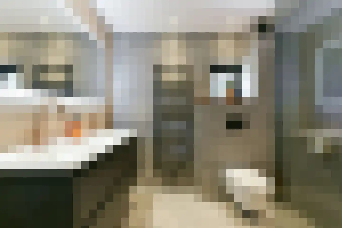 Tabaksland 22 Hoevelaken thumbnail 36