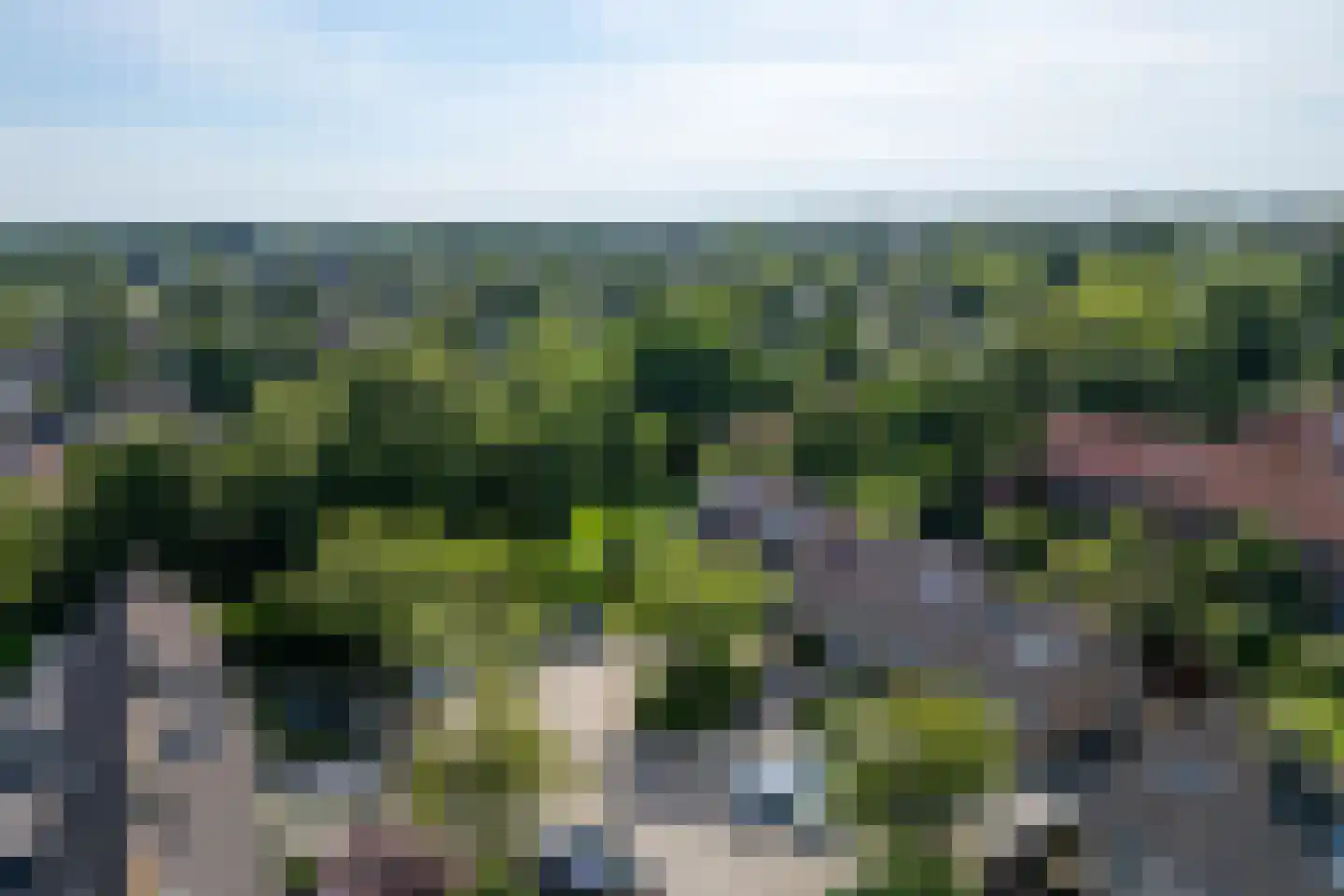 Tabaksland 22 Hoevelaken thumbnail 48