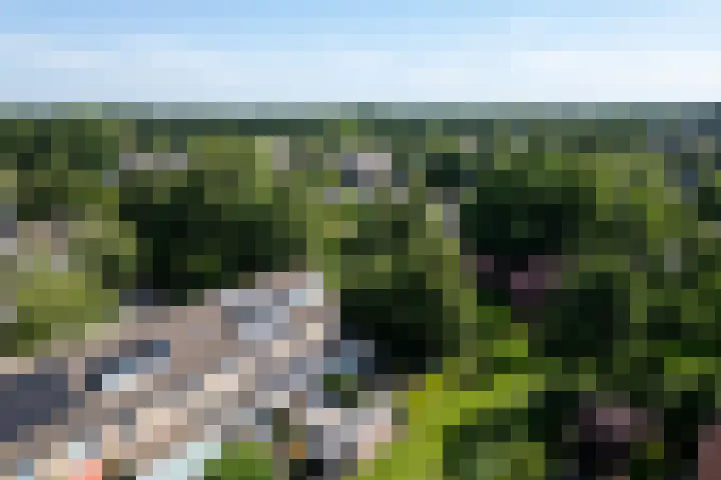 Tabaksland 22 Hoevelaken thumbnail 49