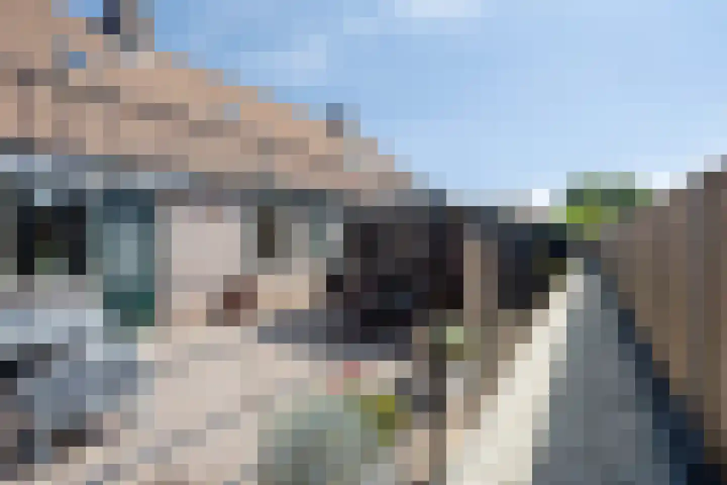 Tabaksland 44 Ingen thumbnail 23