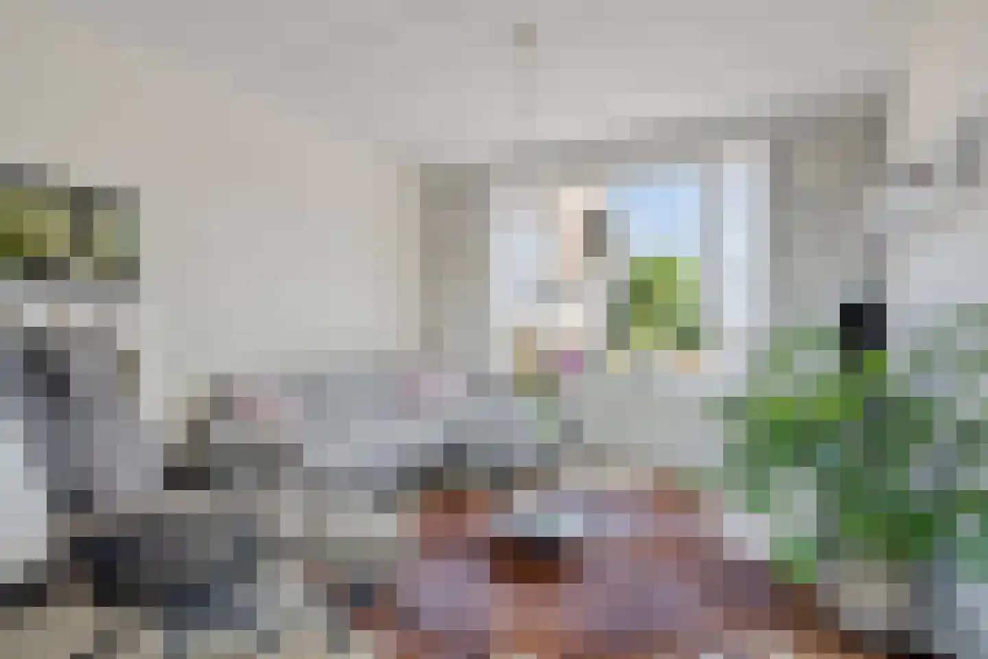 Tabaksland 44 Ingen thumbnail 5