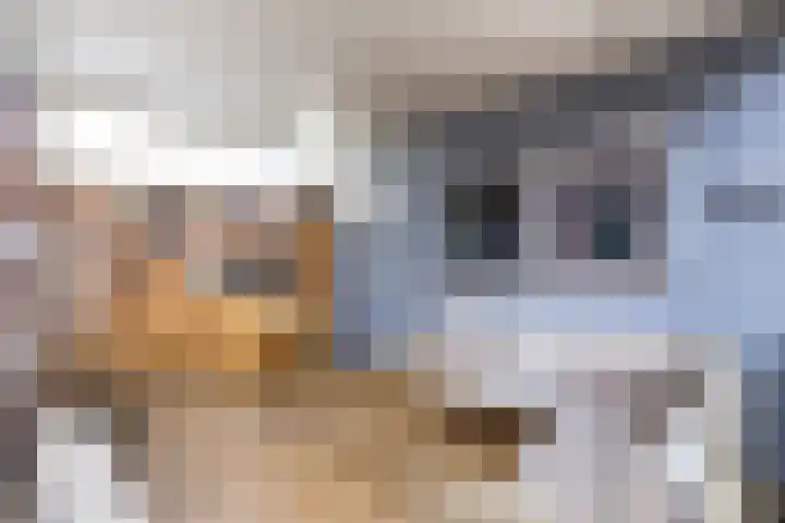 Tabaksland 56 Woudenberg thumbnail 18
