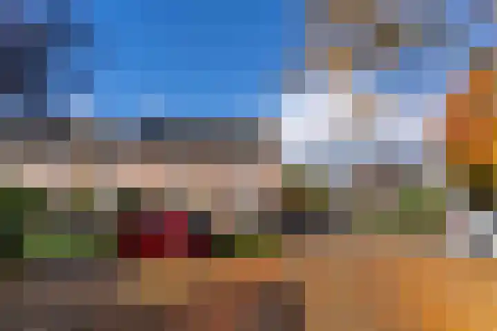Tabaksland 56 Woudenberg thumbnail 34