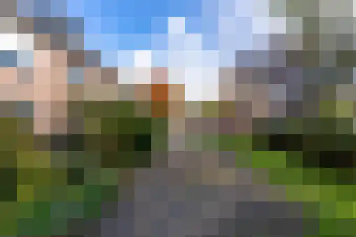 Tabaksland 56 Woudenberg thumbnail 36