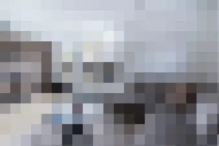 Tabaksland 56 Woudenberg thumbnail 4