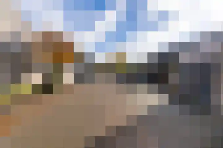 Tabaksland 56 Woudenberg thumbnail 40