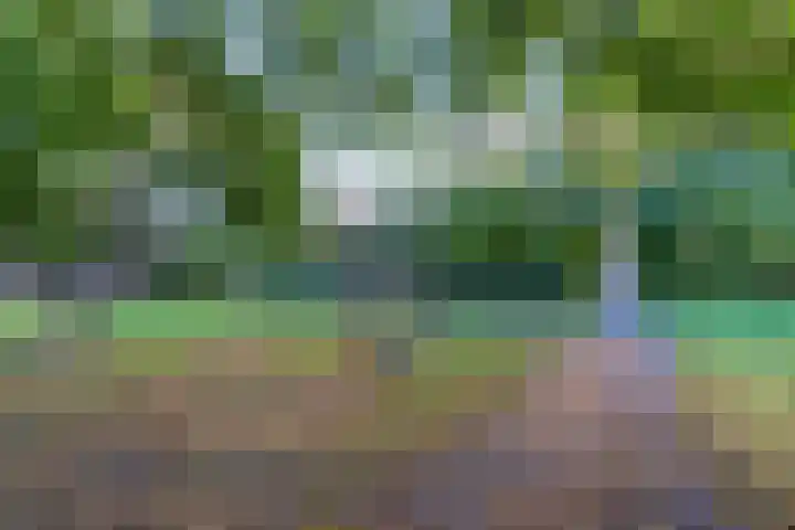Tabaksland 56 Woudenberg thumbnail 41