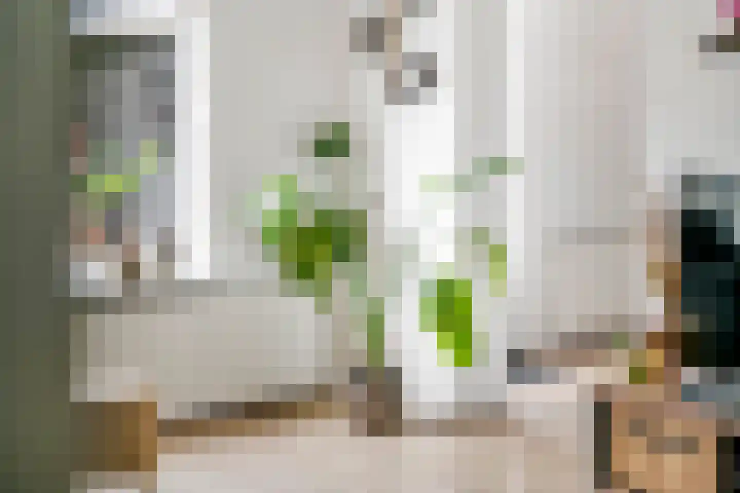 Tabaksland 57 Ingen thumbnail 29