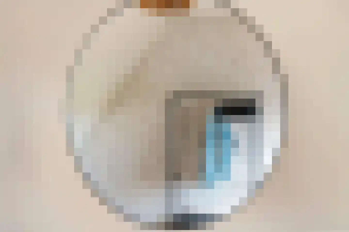 Tabaksland 57 Ingen thumbnail 41