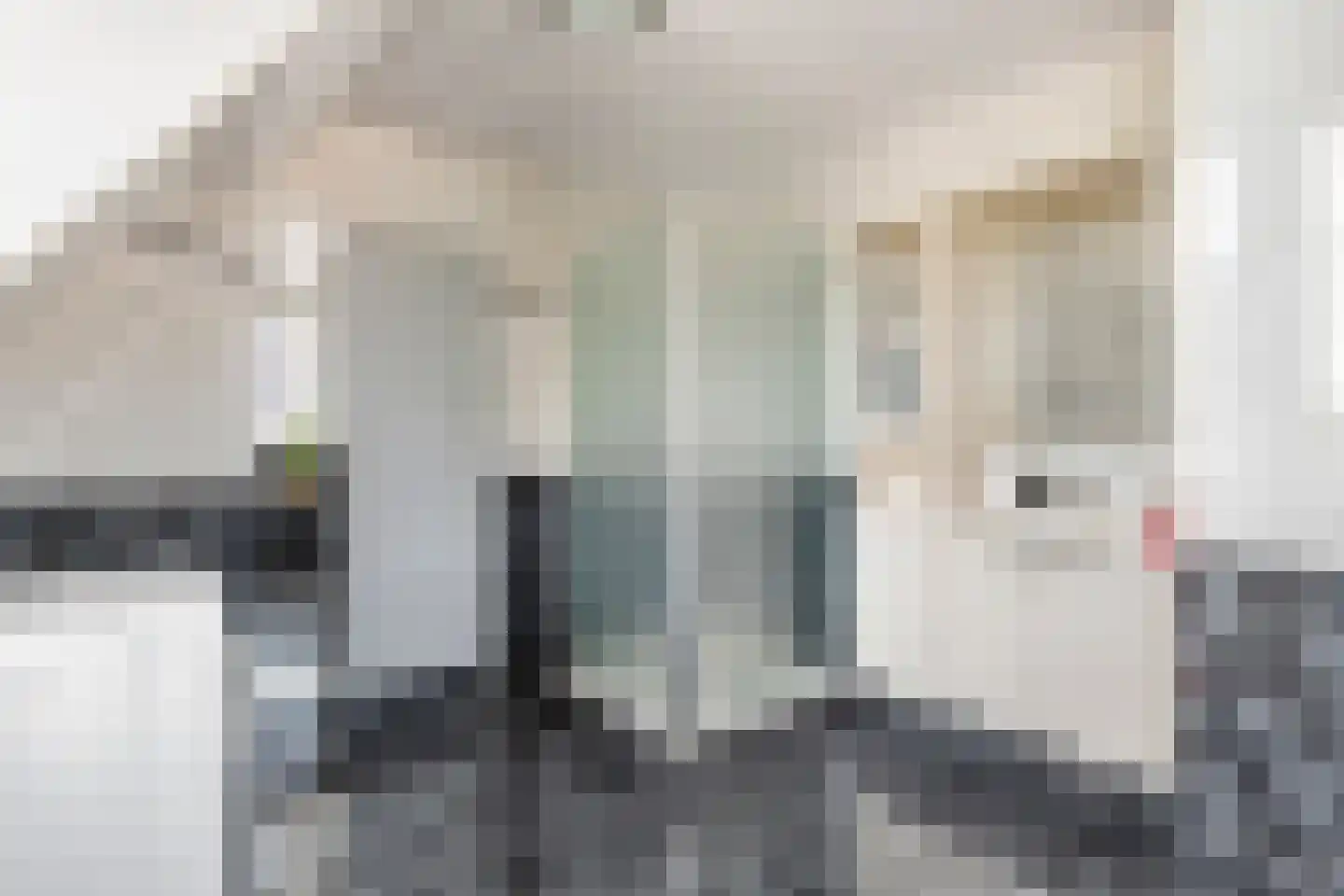 Tabaksland 57 Ingen thumbnail 43