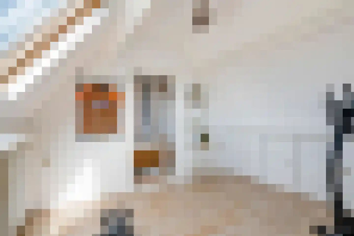 Tabaksland 57 Ingen thumbnail 49