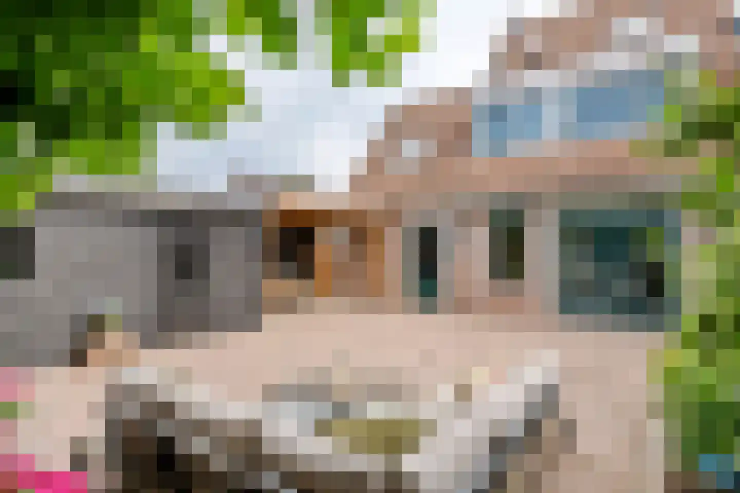 Tabaksland 57 Ingen thumbnail 5