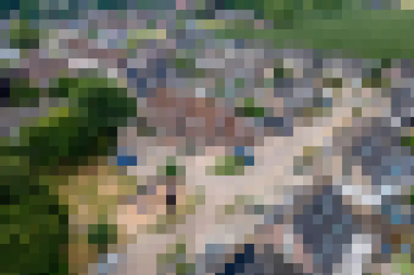 Tabaksland 57 Ingen thumbnail 54