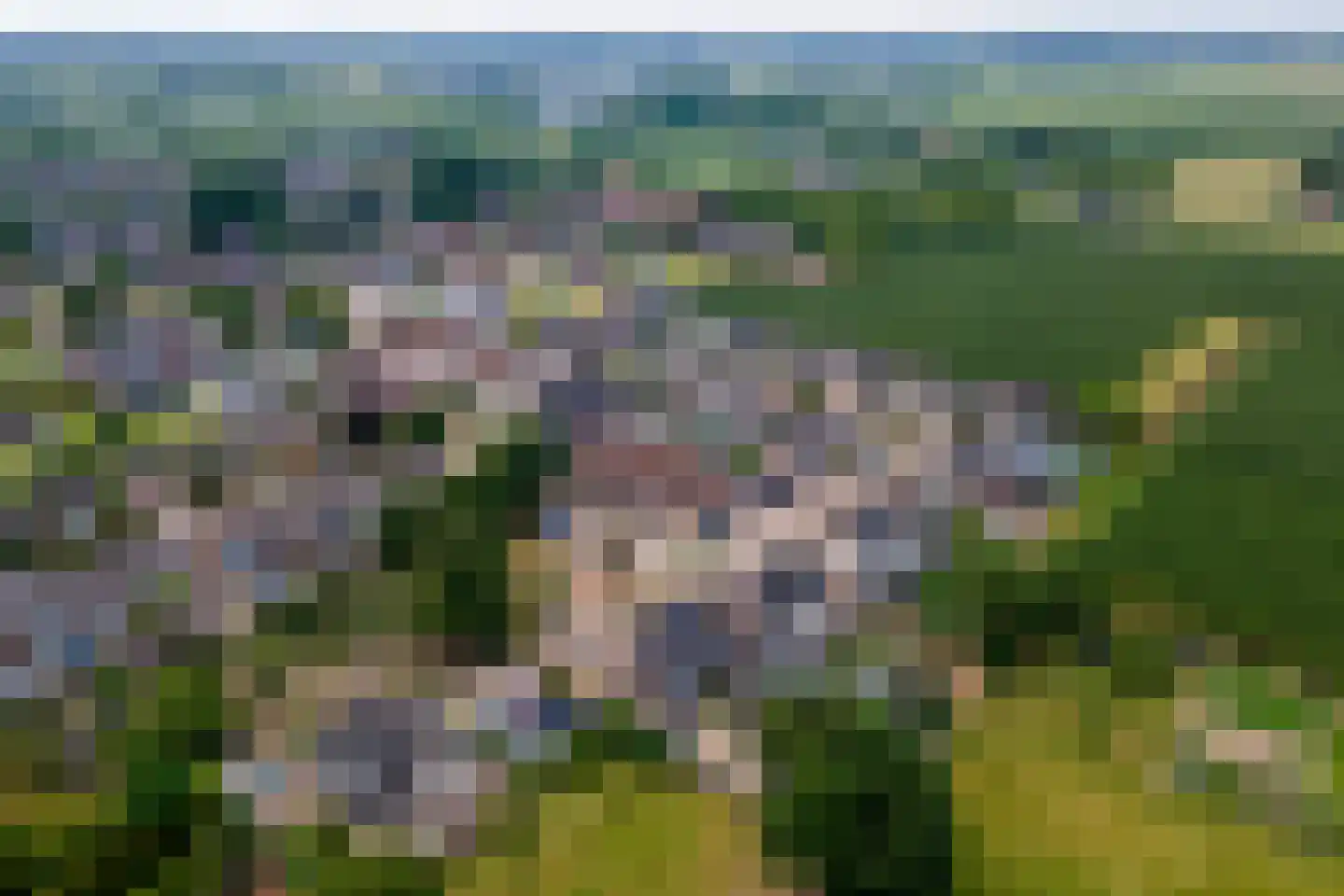 Tabaksland 57 Ingen thumbnail 55