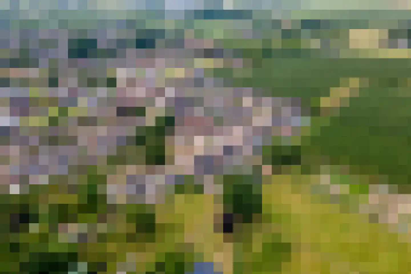Tabaksland 57 Ingen thumbnail 56