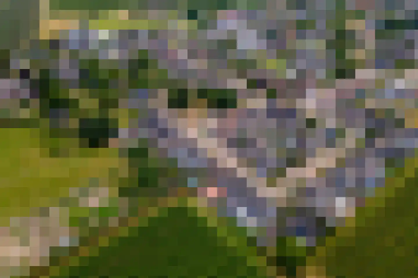 Tabaksland 57 Ingen thumbnail 64