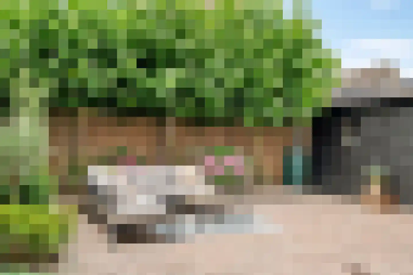 Tabaksland 57 Ingen thumbnail 7