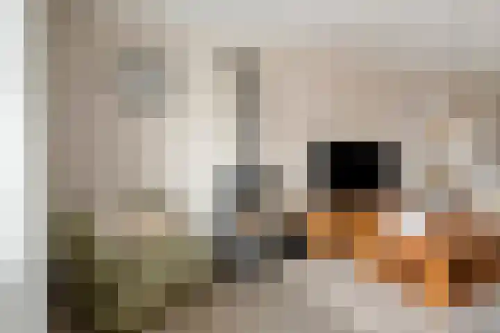 Tabaksland 59 Ingen thumbnail 11