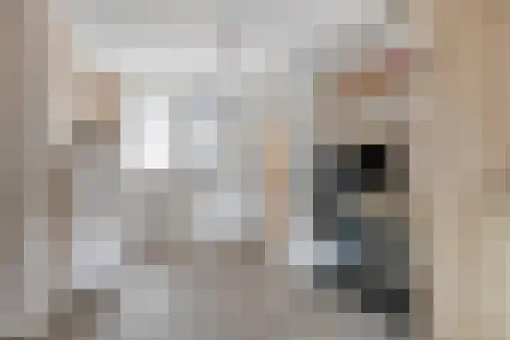 Tabaksland 59 Ingen thumbnail 21