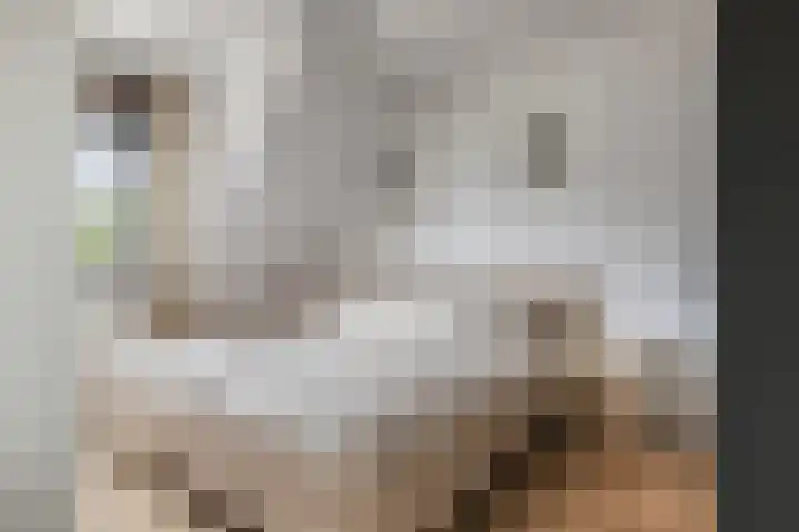 Tabaksland 59 Ingen thumbnail 24
