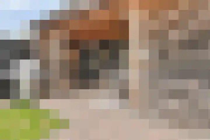 Tabaksland 59 Ingen thumbnail 37