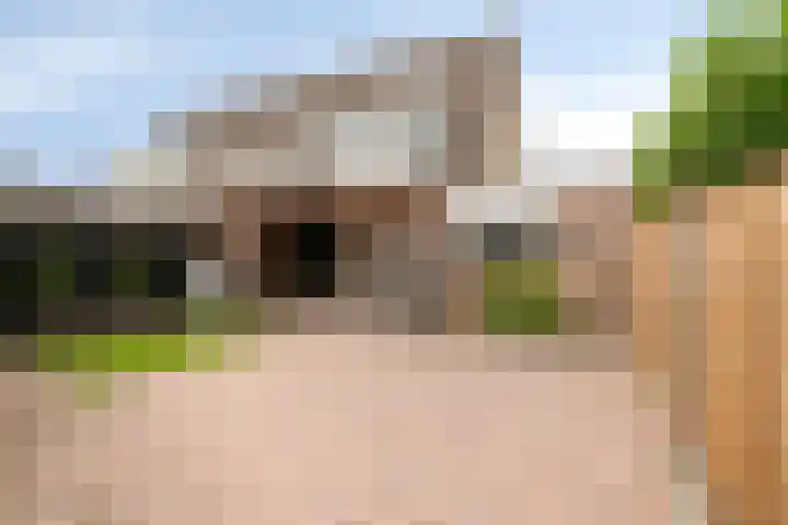 Tabaksland 59 Ingen thumbnail 40