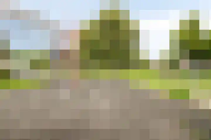 Tabaksland 59 Ingen thumbnail 41