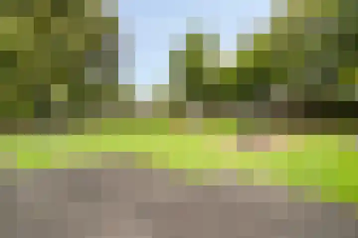 Tabaksland 59 Ingen thumbnail 42