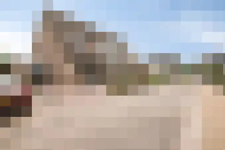 Tabaksland 59 Ingen thumbnail 47