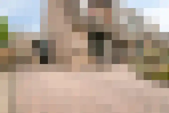 Tabaksland 59 Ingen thumbnail 6