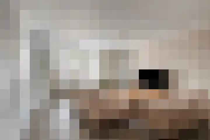 Tabaksland 59 Ingen thumbnail 9