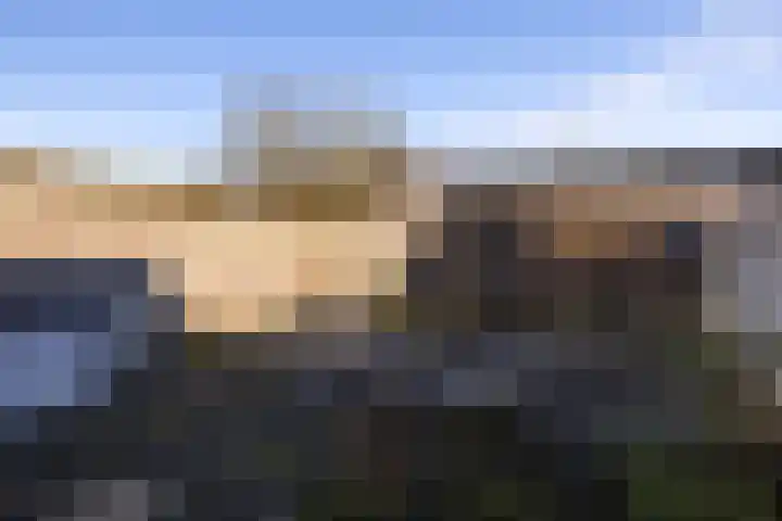 Tabaksland 66 b Woudenberg thumbnail 17