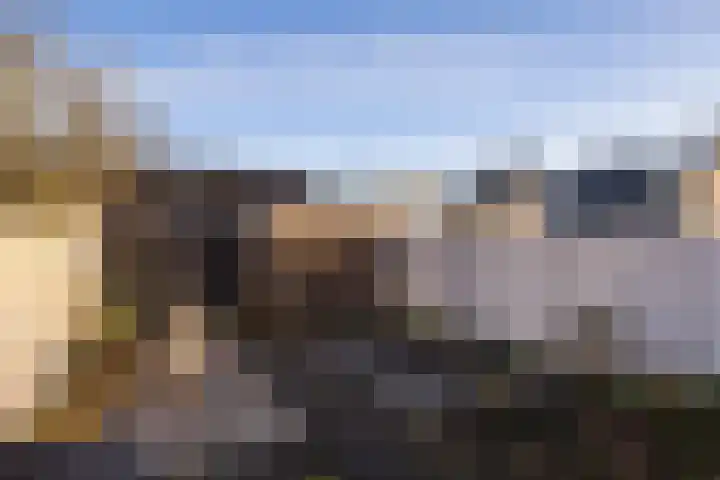 Tabaksland 66 b Woudenberg thumbnail 18