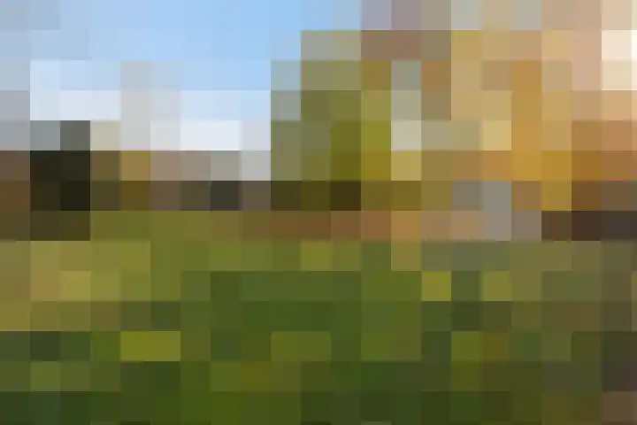 Tabaksland 66 b Woudenberg thumbnail 29