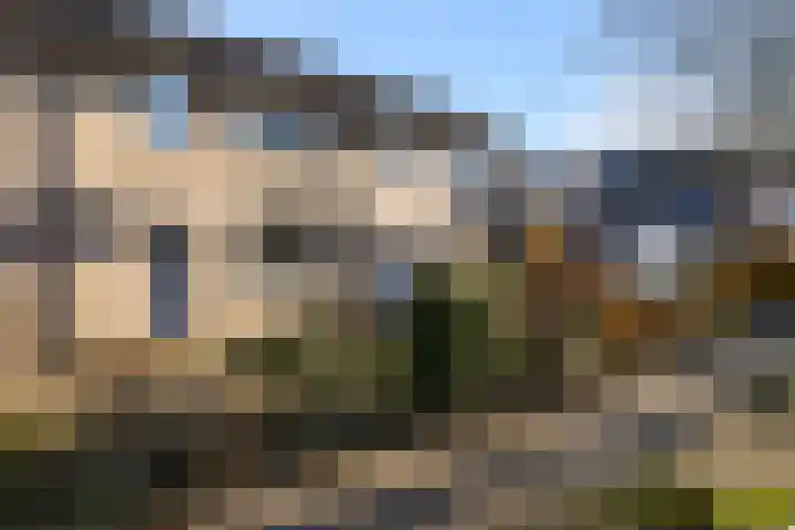 Tabaksland 66 b Woudenberg thumbnail 31