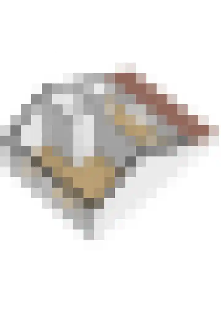 Tabaksland 66 b Woudenberg thumbnail 35