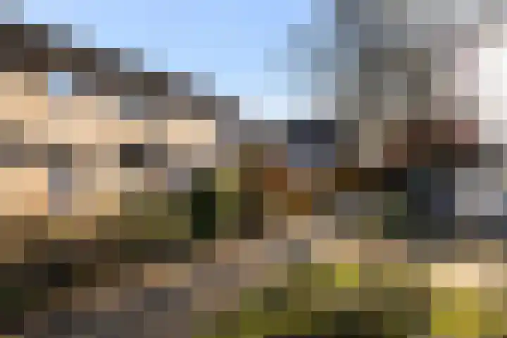 Tabaksland 66 b Woudenberg thumbnail 4