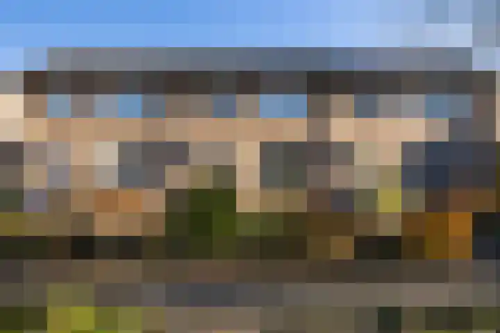 Tabaksland 66 b Woudenberg thumbnail 5