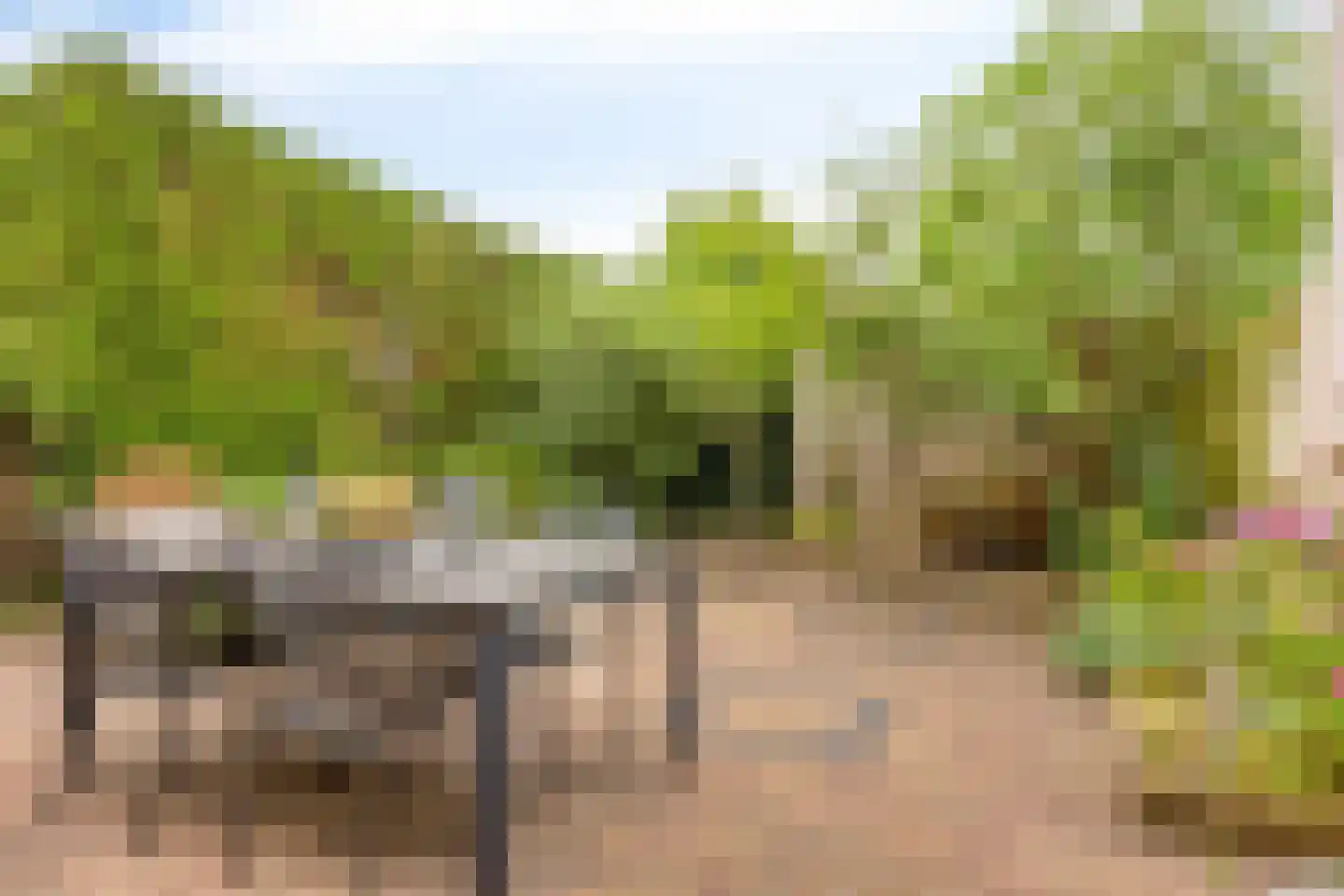 Tabaksland 66 c Woudenberg thumbnail 23